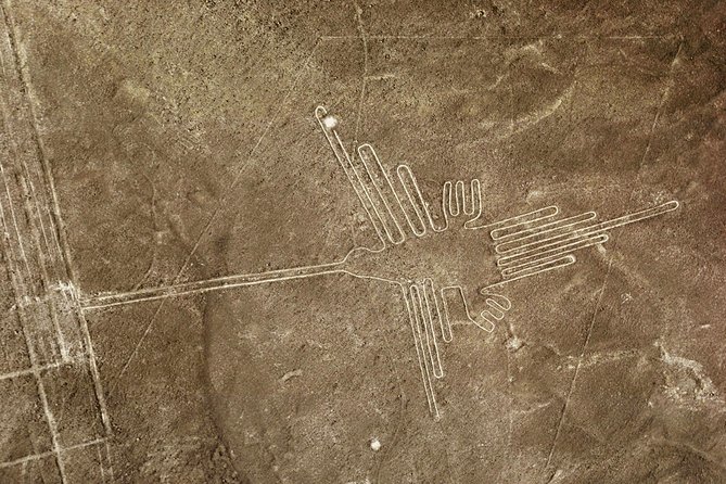 10-Day Taste Peru Experience: Lima, Nasca, Cusco & Machu Picchu - Nazca Lines from the air: the view that changes everything