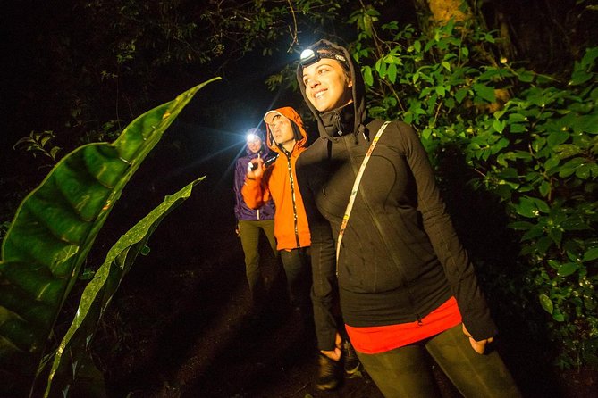 2-Day All Inclusive Guided Jungle Tour from Iquitos at Maniti Eco-Lodge - Day 1 Evening: Nocturnal Jungle Hike (When It Works, It’s Magic)
