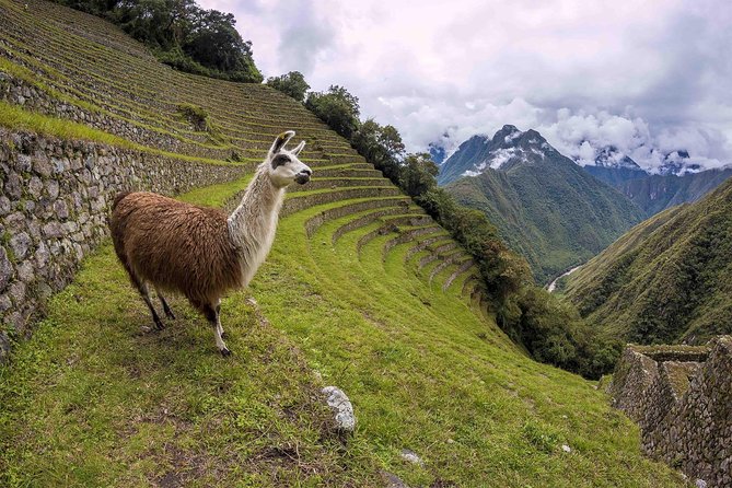 2-Day Short Inca Trail to Machu Picchu - Practical tips that make or break the short trek