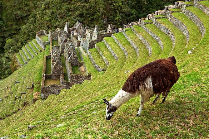2 Day - Short Inca trail to Machu Picchu - Private Services - Sunrise at Machu Picchu: early access that changes the whole mood