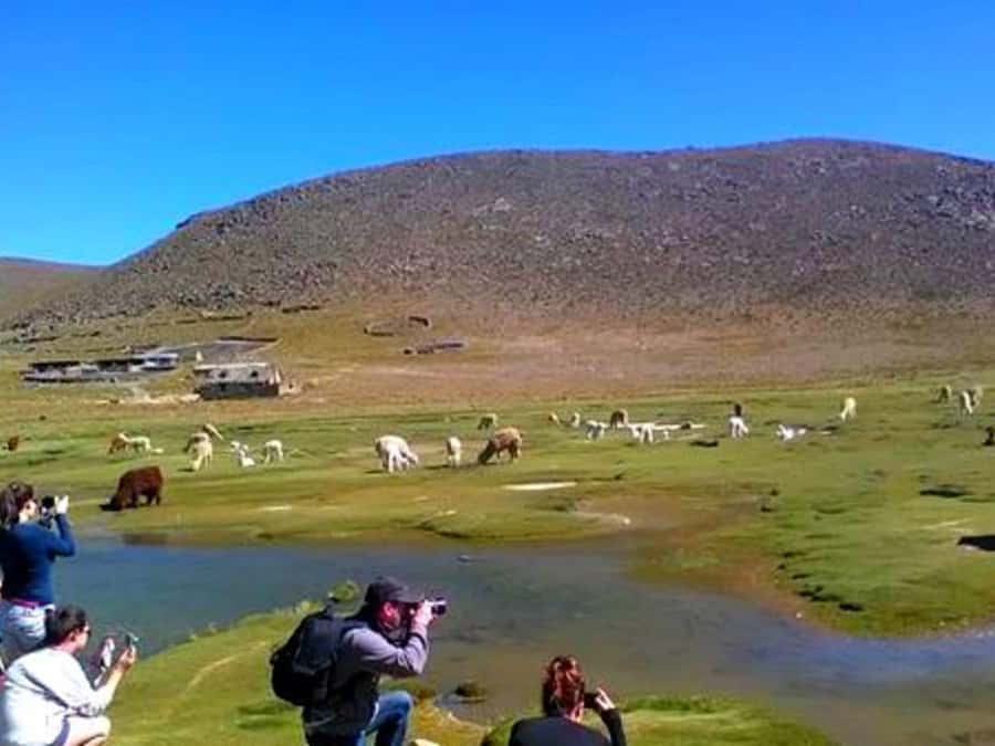 2-Day Tour Colca Canyon in Arequipa with end in Puno - Who Should Book This Colca Canyon to Puno Tour