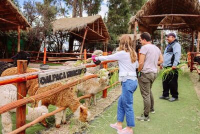 2-Day Tour: Sacred Valley & Machu Picchu – All Tickets Included - Day 1 from Cusco to the Sacred Valley: alpacas, terraces, and a classic market stop
