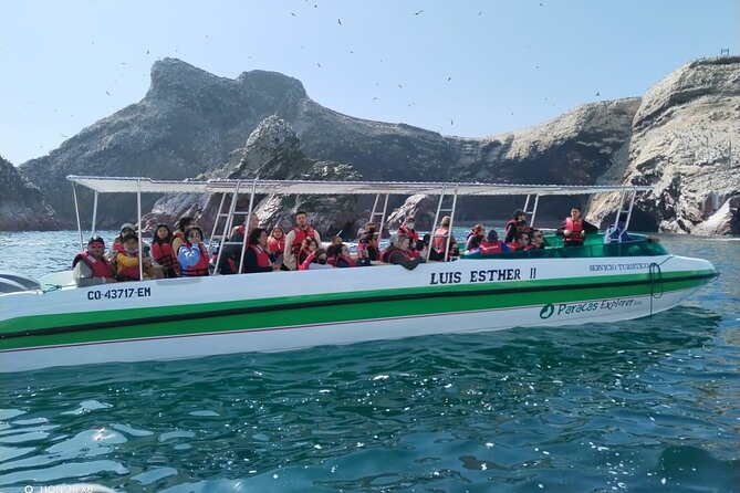 2-Hour Tour to the Ballestas Islands from Puerto San Martín - Stop 1: The Candelabra Viewing Pause on the Paracas Peninsula