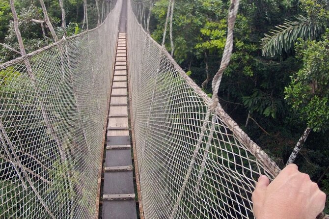 3-Day All Inclusive Guided Jungle Tour from Iquitos at Maniti Eco-Lodge - Day 2 sunrise, fishing, Victoria regia, and canoe caimans