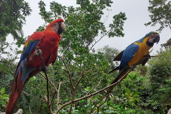 3-Day Eco-Sustainable Private Tour Manu National Park - Lodging and meals: comfortable hostels with a jungle schedule