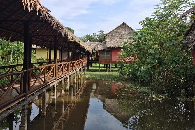 3-Day Iquitos Amazon Jungle Adventure at Heliconia Lodge - The Guide Factor: Why Names Like Manuel, Victor, and Freddie Matter