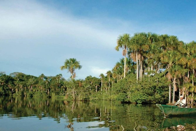 4 Day Tambopata Amazon Wildlife & Canopy Experience - First impressions: what this Tambopata tour gets right