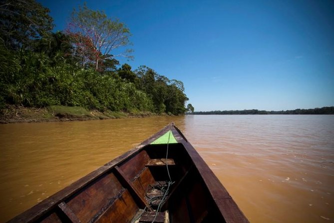4 Day Tambopata Amazon Wildlife & Canopy Experience - Day 1: Monkey Island, jungle walk, and caimans on the Madre de Dios