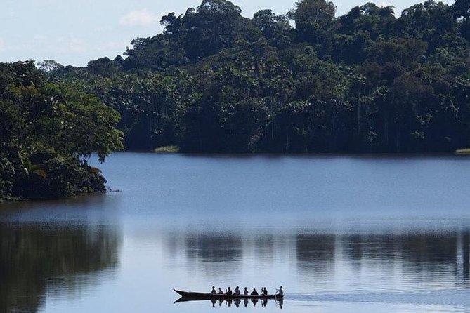 4 Day Tambopata Amazon Wildlife & Canopy Experience - Day 2: 40-meter canopy first, then Sandoval Lake by boat