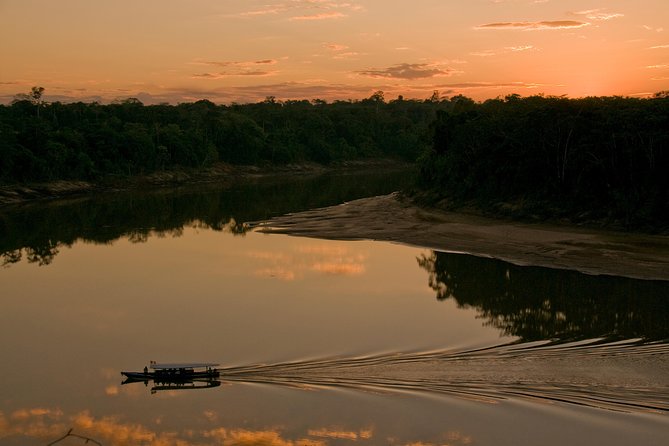 4 Day Tambopata Amazon Wildlife & Canopy Experience - Day 3: Piranhas and tree-climbing for the adrenaline-minded