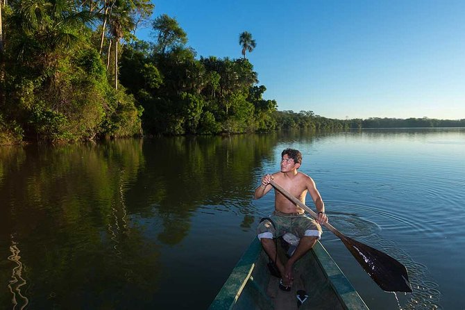 4 Day Tambopata Amazon Wildlife & Canopy Experience - Wildlife expectations: how to keep your eyes up and your expectations realistic