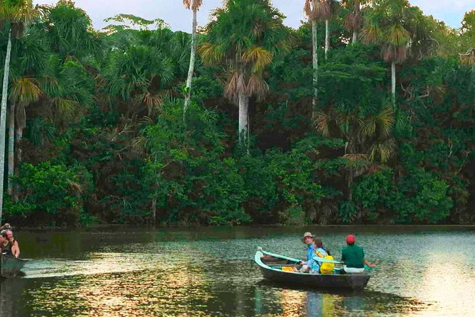 4 Day Tambopata Amazon Wildlife & Canopy Experience - Lodge life in the jungle: what you should expect at night