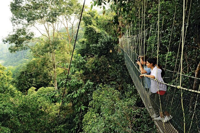 4 Day Tambopata Jungle Tour with Local Guide - Day 2: Lake Sandoval by Hike + Rowboat, Then a Night Walk at 6:30
