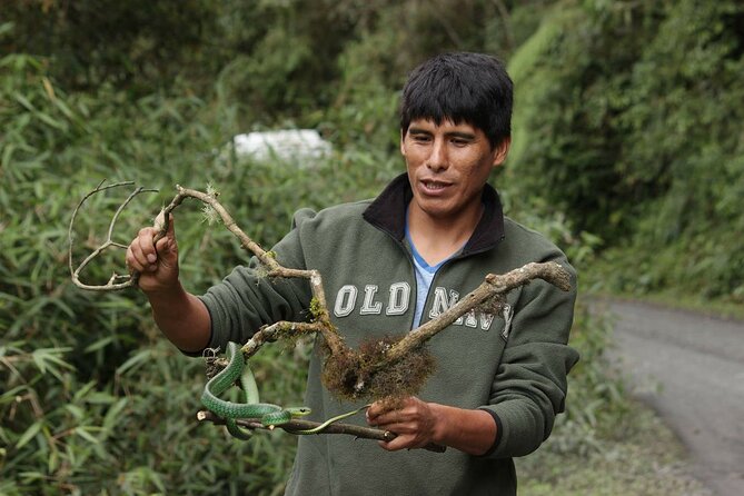 4 Day Tour to the Manu National Park - Cusco to Manu: why the early starts matter