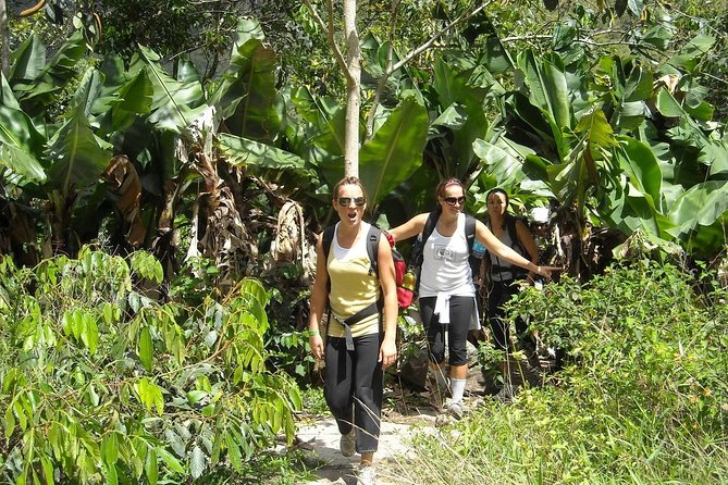 4 Days Inca Jungle to Machu Picchu Standard - The Guide and Group Vibe: Why Small Groups Make This Work