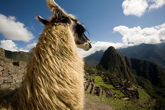 7 Day Peru Private Journey - Day 3 Cusco arrivals: Sacsayhuaman fortresses and Qorikancha gold legends