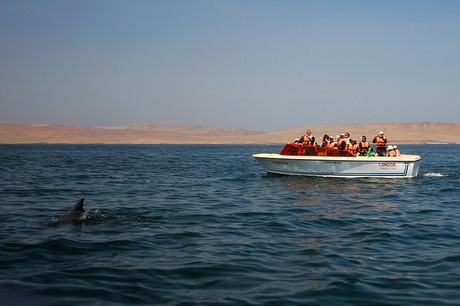 8-Day Enigmas of Peru - Paracas National Reserve and Ballestas Islands: wildlife with a story