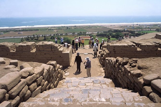 8-Days Best of The Inca Empire from Lima - Day 5: Sacred Valley begins with animals, Pisac views, and Inkariy Museum