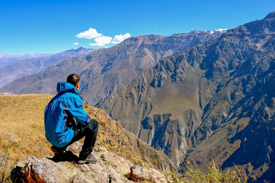 Andes: Colca Canyon Day-Trip - Key highlights worth waking up for