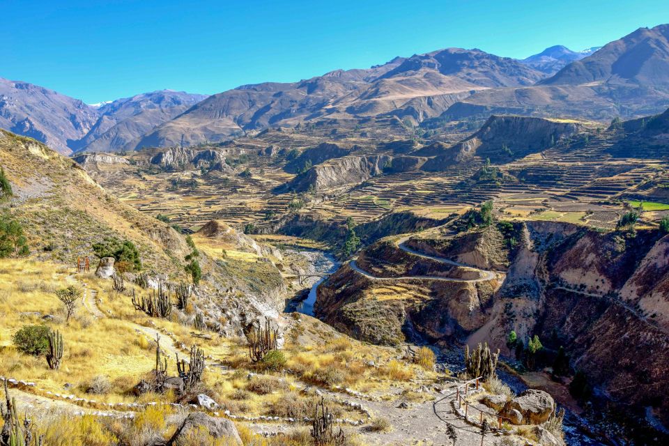 Andes: Colca Canyon Day-Trip - Cruz del Condor: waiting quietly is the whole game