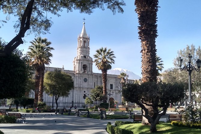 Arequipa Walking Tour city center and drinks experience - Guides, pace, and the “real Arequipa” feel