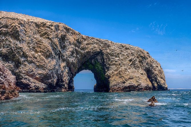 Ballestas island & Paracas reserve from PISCO CRUISESHIP TERMINAL - Why This Half-Day Works So Well From Pisco Cruise Terminals