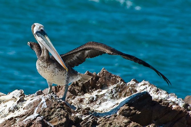 Ballestas Islands Group Tour from Paracas - Candelabra on the Paracas Peninsula: a fast detour with big mystery
