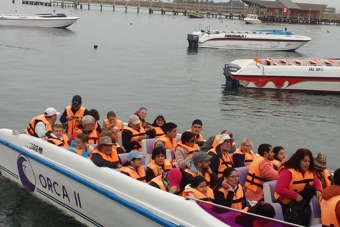 Ballestas Islands Group Tour from Paracas - Should you book the Ballestas Islands tour from Paracas?