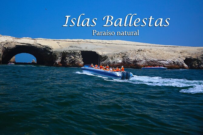 Ballestas Islands & National Reserve of Paracas from Ica - Islas Ballestas: the boat ride, the geoglyph, and wildlife time