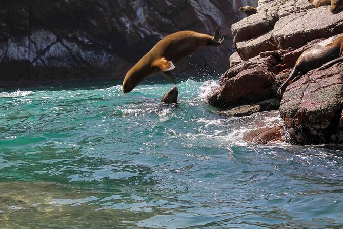 Ballestas Islands & National Reserve of Paracas from Ica - Comfort, language, and the group pace (this is where days are made or missed)