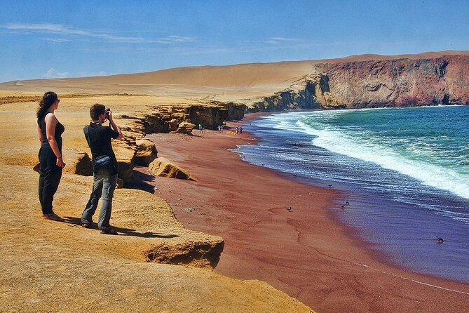 Ballestas Islands & National Reserve of Paracas from Ica - Paracas National Reserve: Mirador Istmo, Playa Roja, Lagunillas swim, La Mina