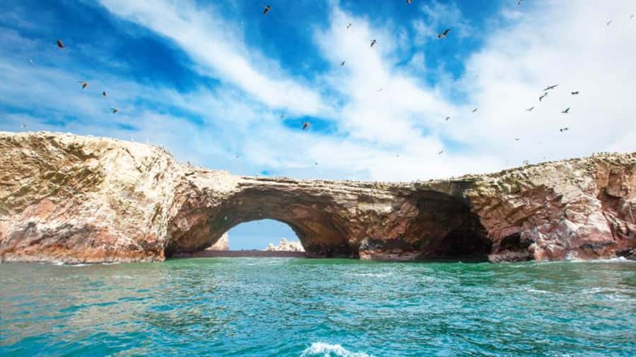 Ballestas Islands & Paracas National Reserve from Paracas - Who should book this day tour, and who might not love it