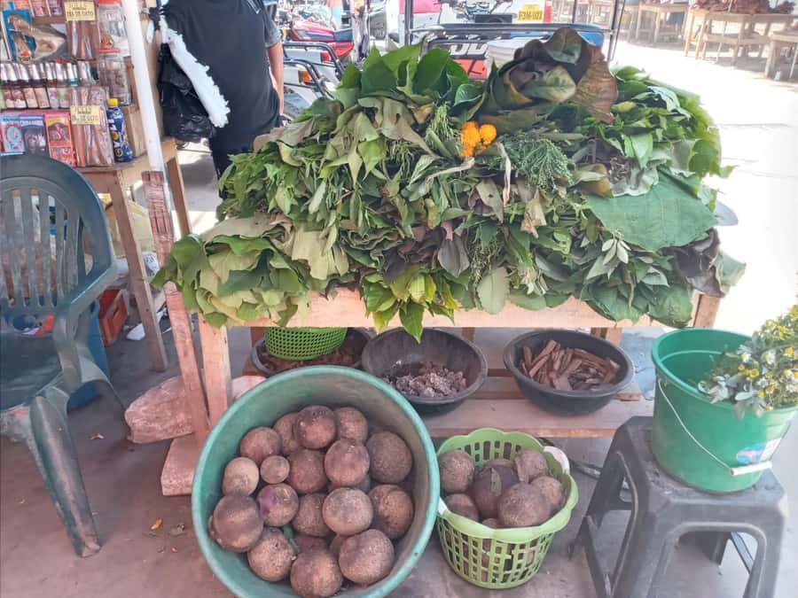 Belen Market & Floating City 2-3 Hour Private Tour - Belen Market: open-air shopping with jungle and river behind it