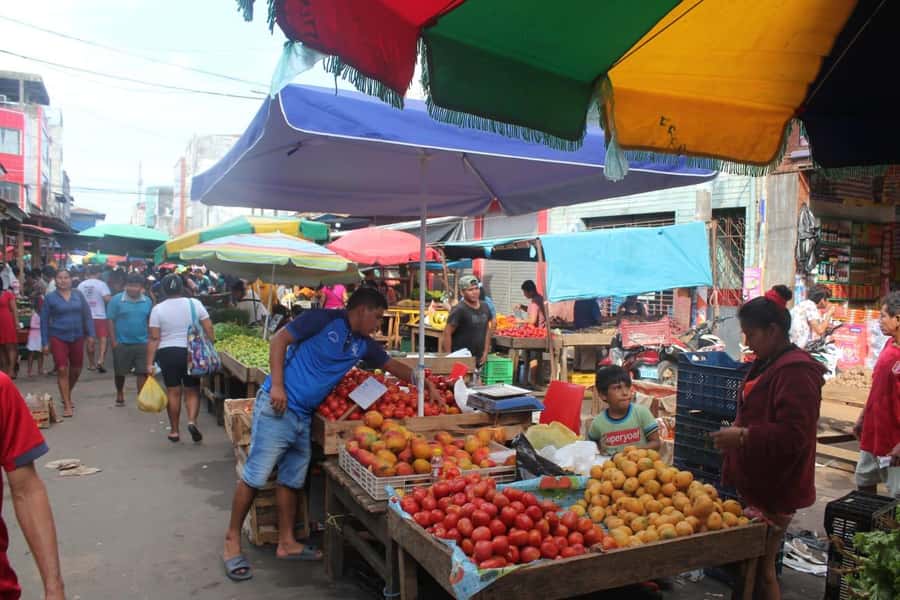 Belen Market & Floating City 2-3 Hour Private Tour - Walking six blocks along the Boulevard: small logistics that save time