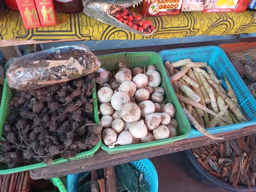 Belen Market & Floating City 2-3 Hour Private Tour - Price and value: is $40 per person a fair deal?