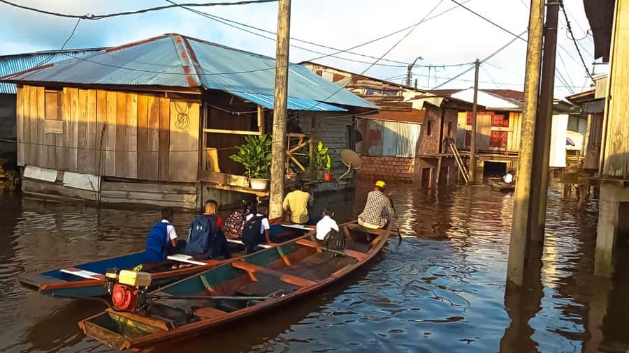 Belen Market & Floating City 2-3 Hour Private Tour - What’s included vs what you’ll pay on your own