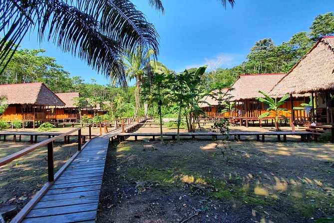 Best of Tambopata 2 nights by JunglePro - Timing and physical readiness: the part people forget to plan
