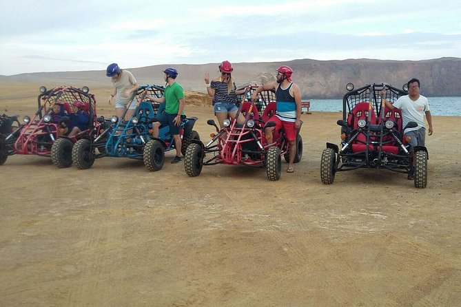 Buggy ride in Paracas National Reserve - How the Tour Runs: Pickup, Safety, and Getting Started