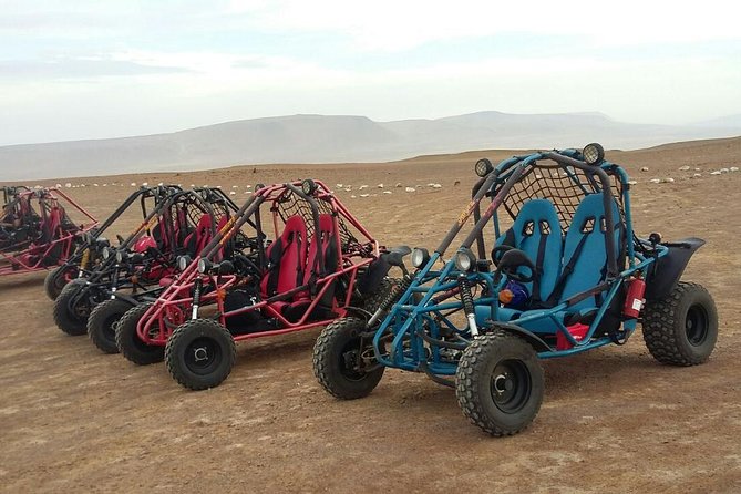 Buggy ride in Paracas National Reserve - Viewpoints, Photo Stops, and a Quick Beach Break