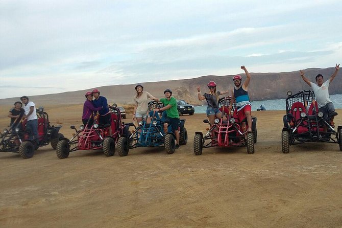 Buggy ride in Paracas National Reserve - Price and Value: $55 Per Group for Two Hours