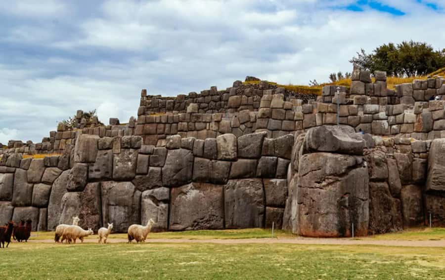City Tour Cusco Qoricancha Sacsayhuaman y Tambomachay - Timing, transport, and handling Cusco’s altitude without ruining your day