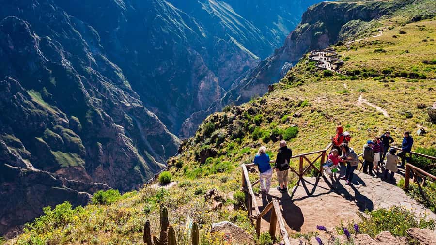 Colca Canyon: 2-Day Tour from Arequipa to Puno - Key highlights you’ll care about