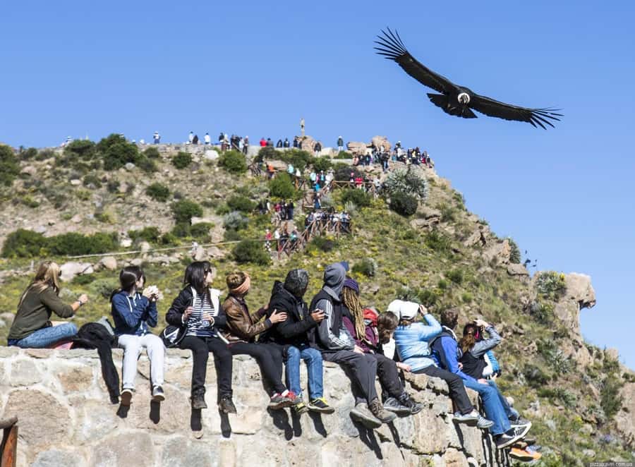 Colca Canyon: 2-Day Tour from Arequipa to Puno - Arequipa to Puno by way of Colca Canyon: what this route delivers in 2 days