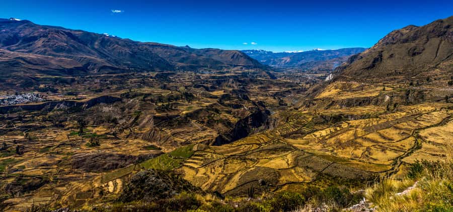 Colca Canyon: 2-Day Tour from Arequipa to Puno - Should you book this Arequipa to Puno Colca Canyon tour?