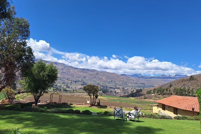 Colca Canyon Plus - Day 1: Salinas y Aguada Blanca reserve, volcano views, and vicuña spotting