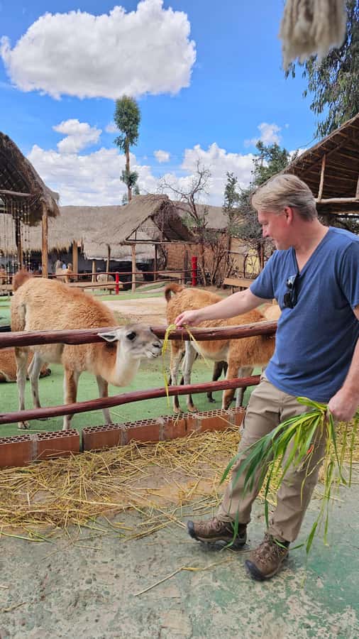 Cusco: Alpaca and Llama Farm Tour w/ Transfer & Weaving Demo - Getting From Cusco to the Farm Without Losing Your Day