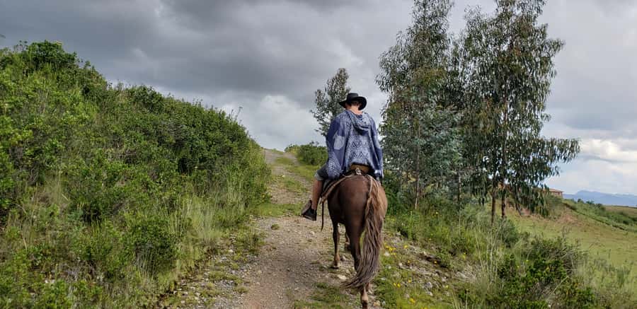 Cusco: Half-Day Horseback Riding at Devil's Balcony - Who Should Book This Cusco Horse Ride?