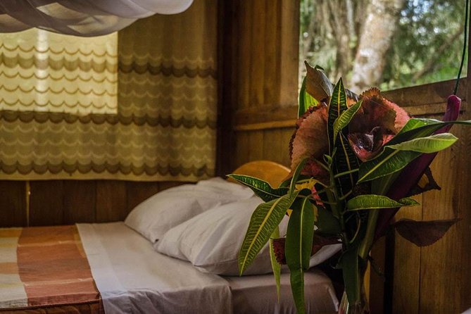 Eco Jungle 3 Days - 2 Nights - What You’re Really Buying: Amazon Time in Tambopata