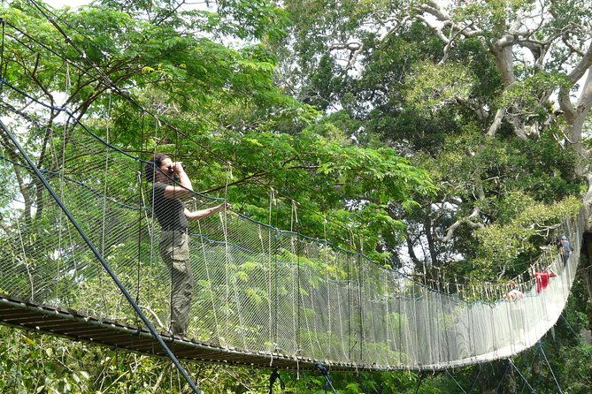 Eco Jungle 3 Days - 2 Nights - Day 2: Sandoval Lake Rowboat Ride and the Night Walk That Changes Everything