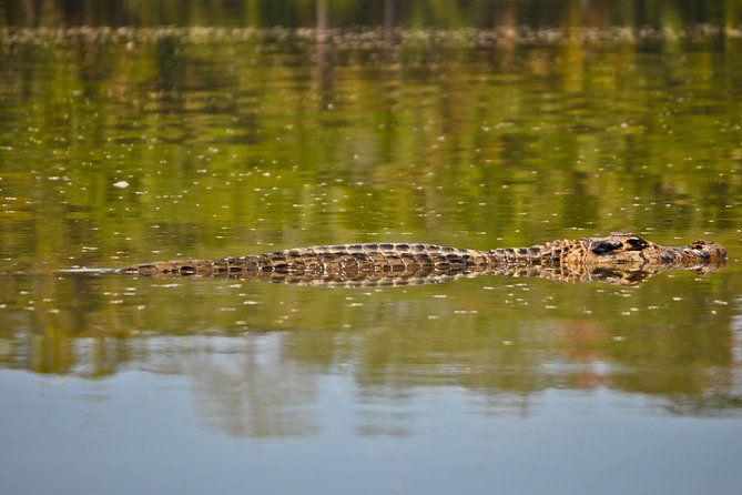 Eco Jungle 3 Days - 2 Nights - Lodging and Meals at Monte Amazónico: What to Expect in a Real Eco Setting